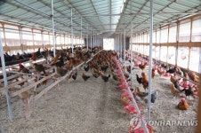 공정위, 닭값 올리려 수입량 담합한 혐의로 하림 등 4개 업체에 3억원대 과징금 부과