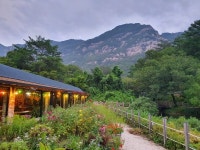 [주말산책] 명성산(鳴聲山)의 울음소리가 그치면