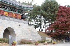 [펜앤포토] 강화도에 찾아온 가을