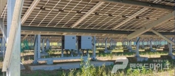 [펜앤현장]이권 카르텔...주민들 반대에도 불법으로 설립된 버섯없는 태양광시설