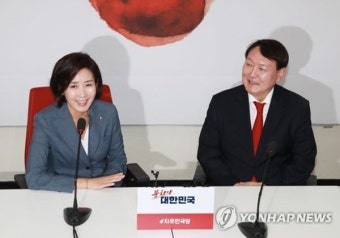한동훈 차출? 나경원 