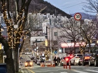 양산시, 목화로 빛 축제 개최