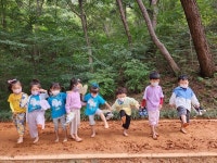 숲에서 배우고, 오감을 발달시켜요...김해시, 2024년 유아숲반 공개 모집