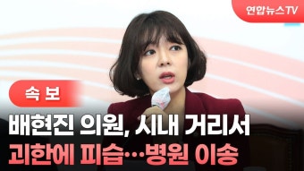 배현진 피습에 野홍익표 