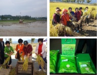 전남도, 유기농업 일번지 명성 이어간다