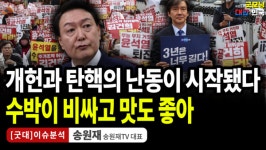 개헌과 탄핵의 난동이 시작됐다. 수박이 비싸고 맛도 좋아 / 송원재 (송원재TV대표) [굿대 이슈분석]