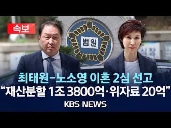 [김용삼 칼럼] 최태원-노소영 이혼소송의 결정타는 노태우 비자금