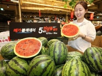 메가마트, 전 상품 할인 행사 메가블랙데이 개최