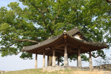 [황인희의 역사 산책] 오랑캐와 형제가 된 정묘맹약을 맺은 자리