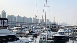 수영만요트경기장 재개발로 갈 곳 없는 요트...최소 생존권 보장돼야