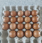 [선우윤호의 경제본색] 1500원 위협하는 고환율 장기화, 서민 물가 상승의 불씨가 될 수 있다