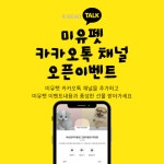 고양이분양 ‘미유펫’ 카카오채널 오픈 이벤트