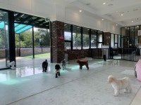 양주 애견유치원 ‘펫츠하우스’, 동물위탁관리허가 완료된 반려견 전문 위탁관리시설 오픈