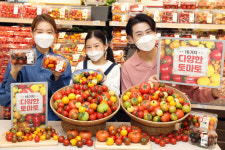 이마트, 총 16종 토마토 전품목 할인 행사 진행…‘젤리마토·별마토’ 이색 토마토 인기