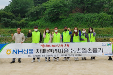 NH선물, 원주 판부면 서곡4리 서 ‘농촌일손돕기’ 운동 실시