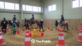 신규 개발 ‘몸 튼튼 슈퍼키즈 승마 서비스’ 오는 9월 본격 시행