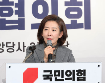 나경원, '한동훈 與 선대위원장 차출론'에 