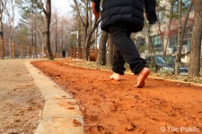 청주시, 맨발 명품 힐링로드 조성사업 추진