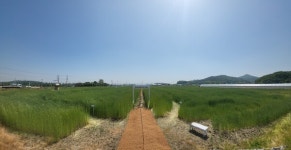 진천군, 제63회 충북도민체전 앞두고 꽃단장 마쳐