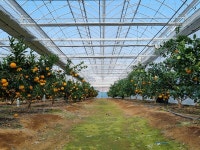 진천군, 과학영농 농업정책 … 대표 도농복합 도시로 자리매김