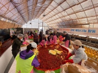 증평군귀농귀촌협의회, 도안면 송정농원 김장 재능 나눔행사