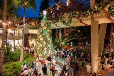 크리스마스에는 하와이로 떠나자~