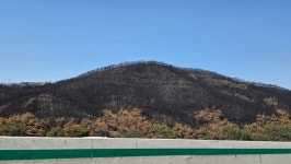 [현장르포]안동 산불피해 지역 주민들 발 맞는 운동화도 없다