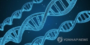 암세포 DNA 단일가닥만 잘라 사멸…새로운 항암 치료법 가능성