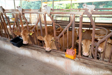 괴산군, 183억 투입해 축수산업 경쟁력 강화 나선다