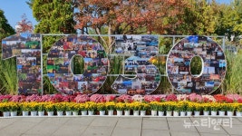 [포토] 유림공원 국화축제 국화향기 속으로 빠지다