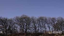 [오늘 날씨] (12/31) 충북, 한파 매우 춥겠음, 도로결빙 유의