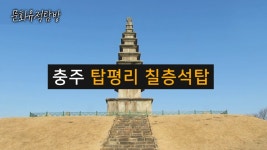 [문화 유적 탐방] 충주 탑평리 칠층석탑 - 충북 충주