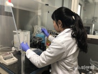 충북도, 설 명절 성수식품 검사 결과 안전