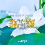 6월 마지막 주 수요일은 문화가 있는 날