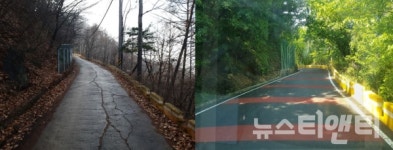 대전 동구, 식장산 전망대 진입로 안전하게 새단장