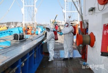 [포토] 태안군, 안흥외항 선박과 유람선 방역 실시