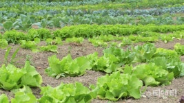 충남도, 메뉴얼 준수 올바른 농약사용 당부
