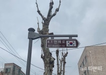 대전 중구, 4.1만세로 명예도로 안내시설물 설치