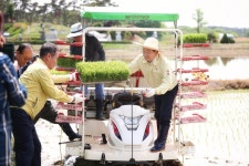 [포토] 김홍장 당진시장, 신평 도성리에서 모내기 시연