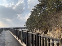 꽃과 소나무, 억새와 갯벌이 어울어 진 그 곳