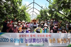 유성농협, 농촌일손돕기 실시