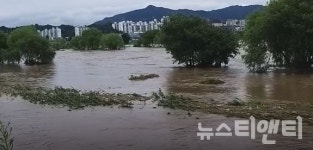 대전시, 대전천 등 3대 하천 그린뉴딜 추진키로