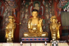 [포토] 공주 갑사, 소조석가여래삼불좌상·사보살입상 및 복장유물