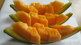 [포토] 천안 수신면, 가을멜론 레드퀸을 만나세요!