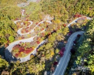 [여행] 단양 가곡 보발재, 울긋불긋 단풍으로 물들어