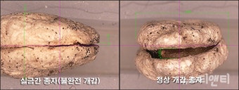 강이열처리 이미지