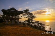 [여행] 1박 2일 언택트 여행지 서천