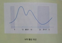 뇌가 깨어나는 시간 오전 6~10시