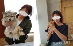 대전시, 유기동물 입양비 최대 15만 원 지원