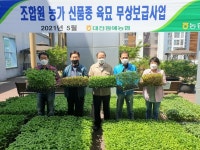 대전원예농협, 신품종 육묘 무상보급사업 실시